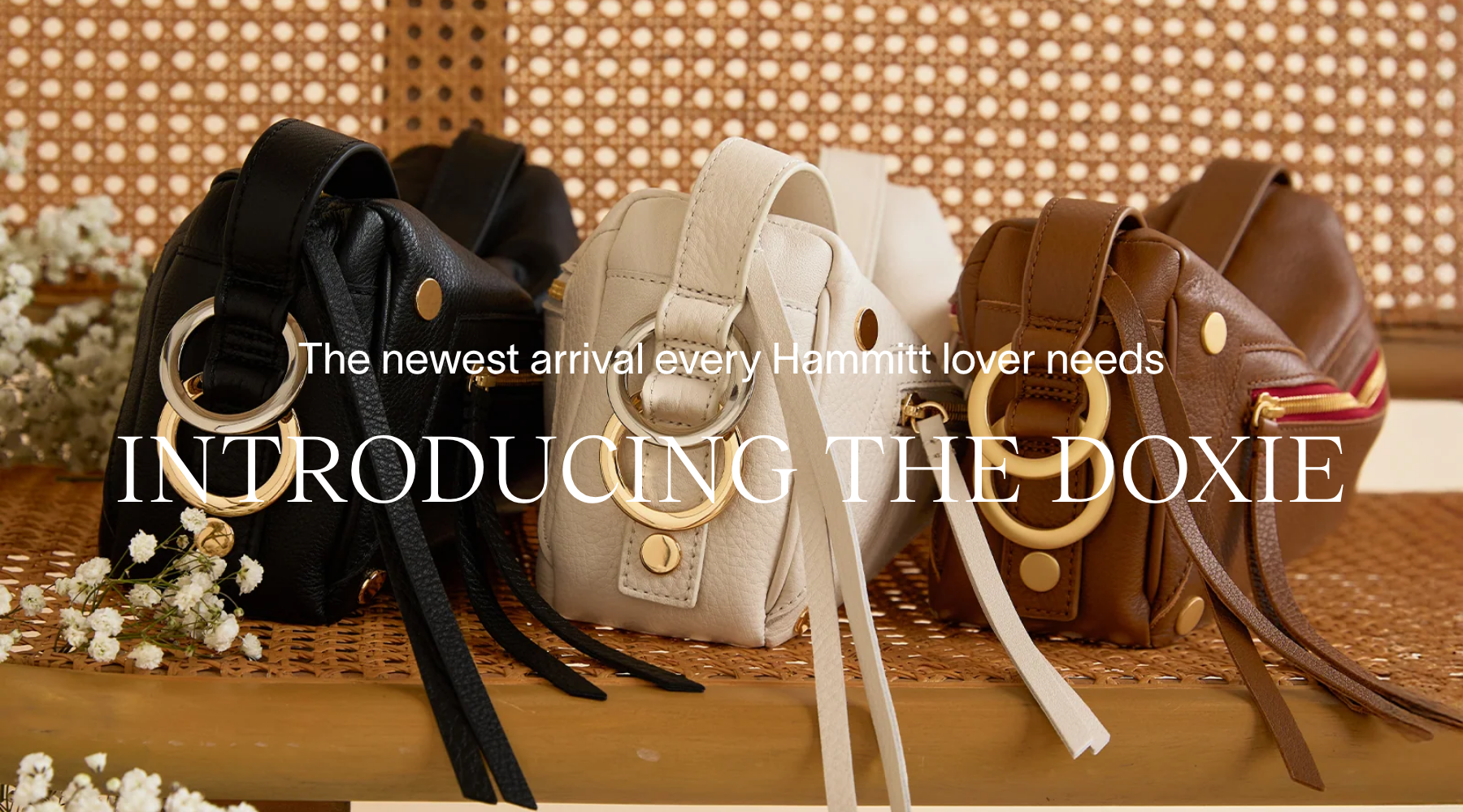 Introducing the Hammitt Doxie | New Arrivals at Romi Boutique