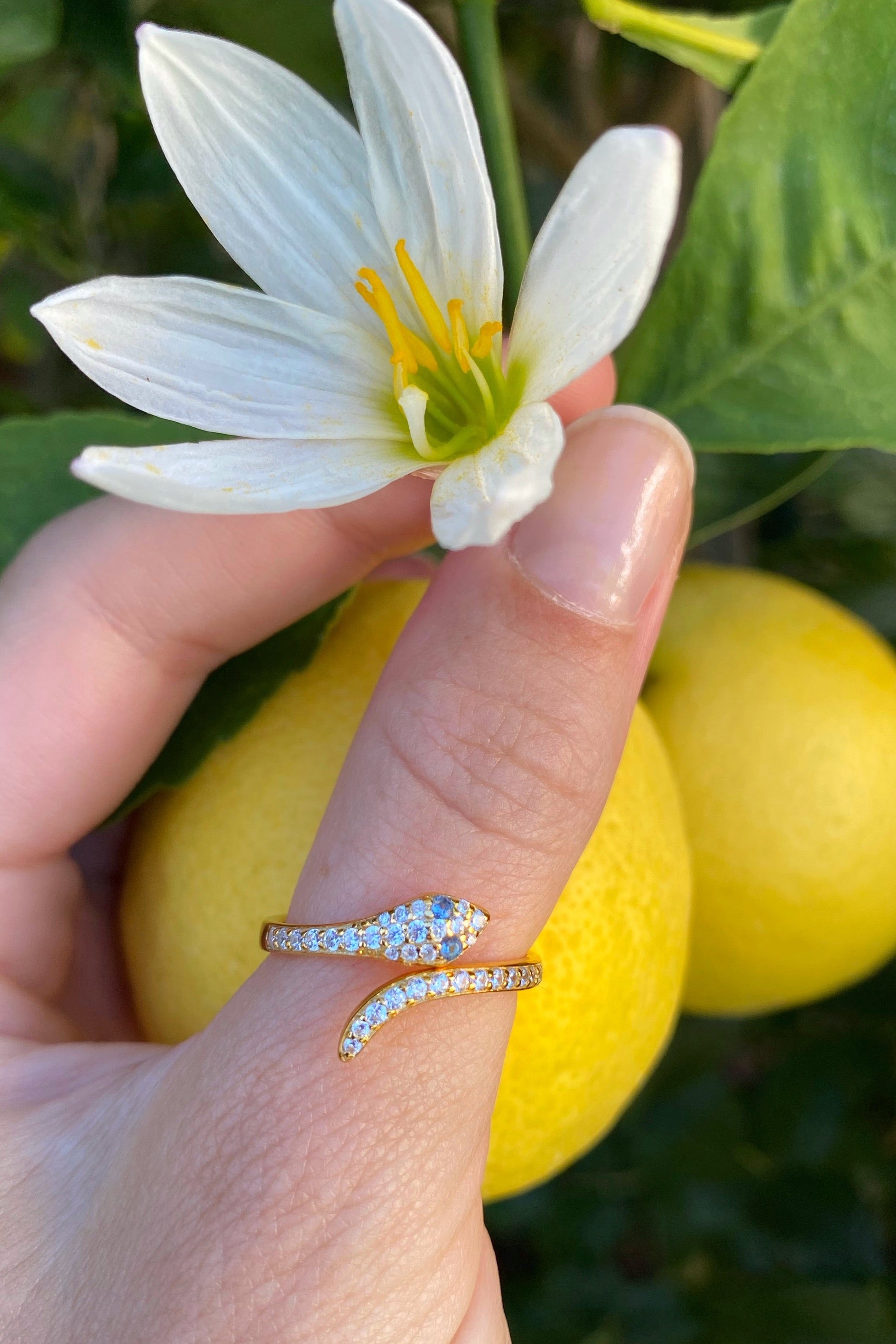 Native Gem SNAKE CHARMER RING IN GOLD at Romi Boutique