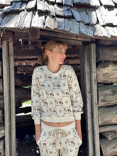 COZY TOP IN LASSO RODEO HORSE