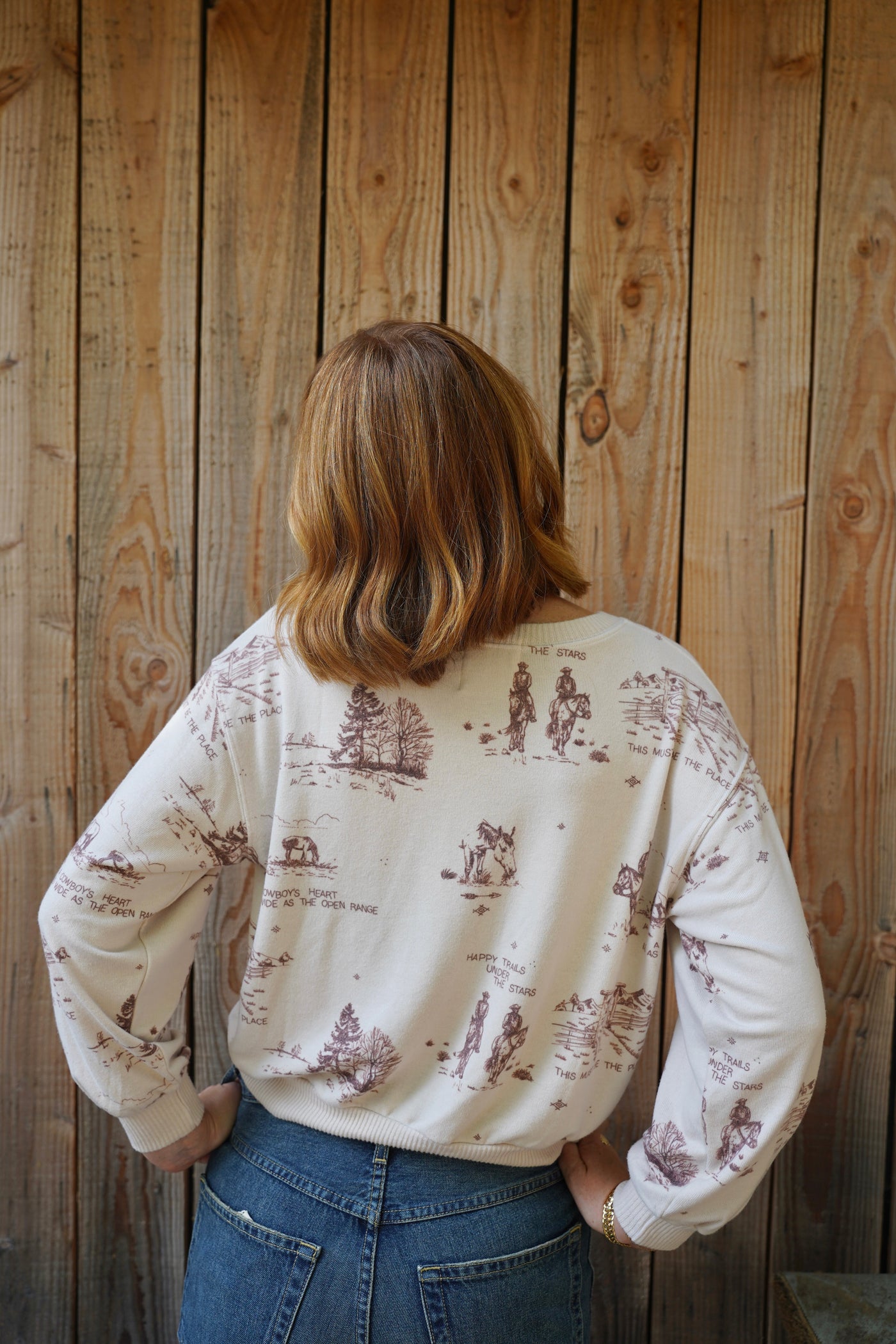 COZY TOP IN YELLOWSTONE