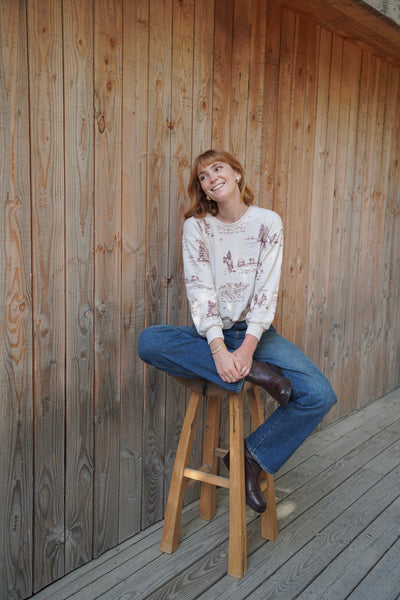 COZY TOP IN YELLOWSTONE