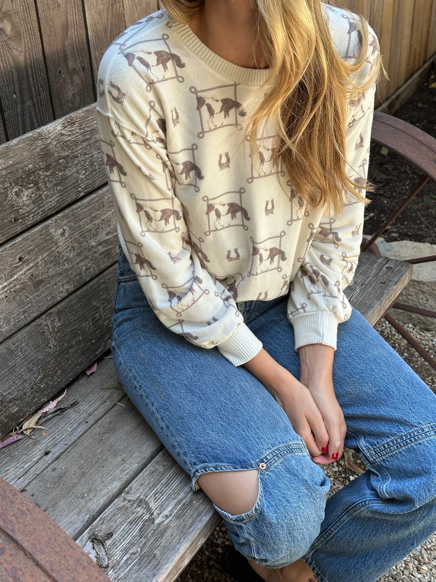 COZY TOP IN LASSO RODEO HORSE