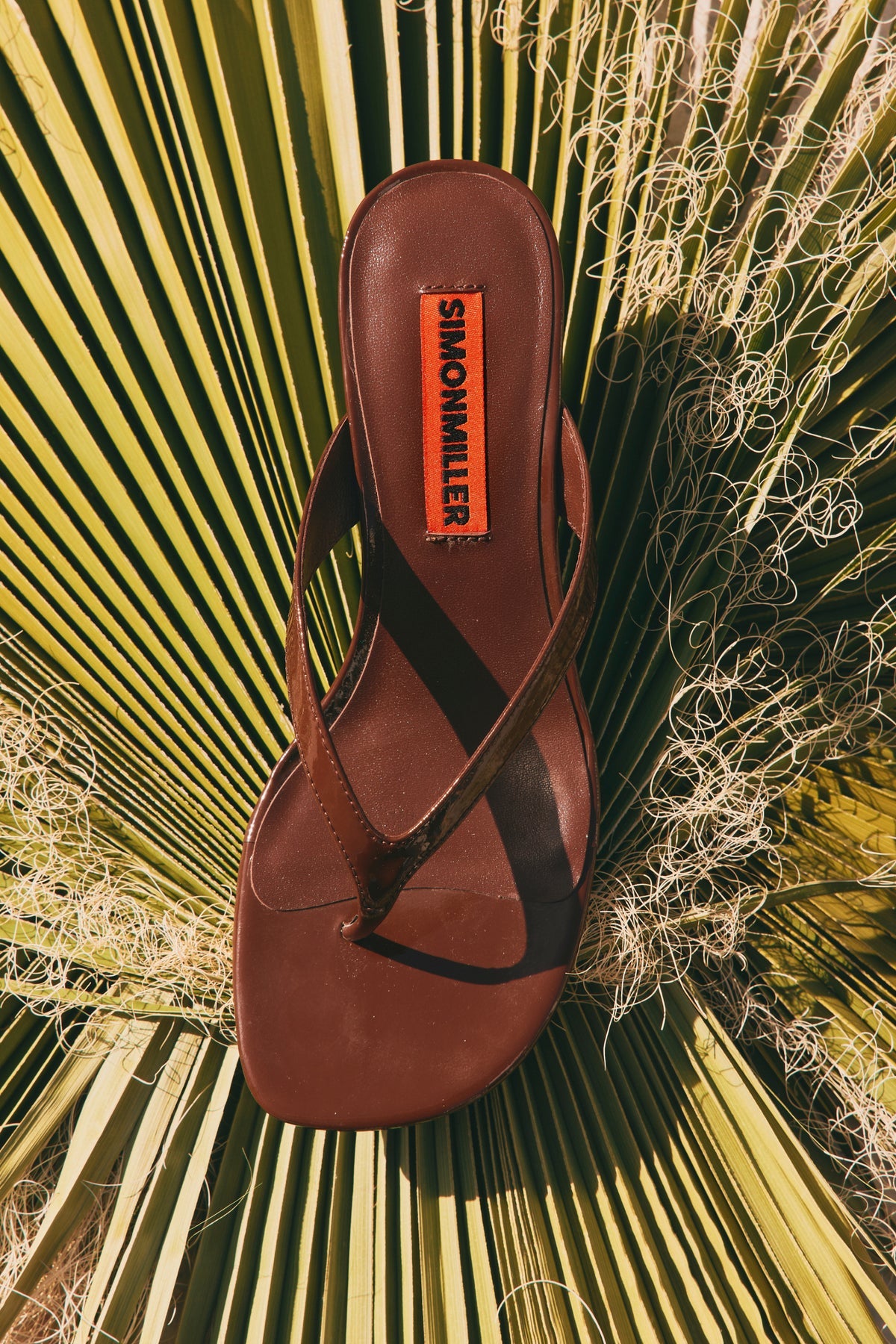 BEEP THONG IN CHOCOLATE