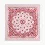 Large Bandana Hachiko Bico