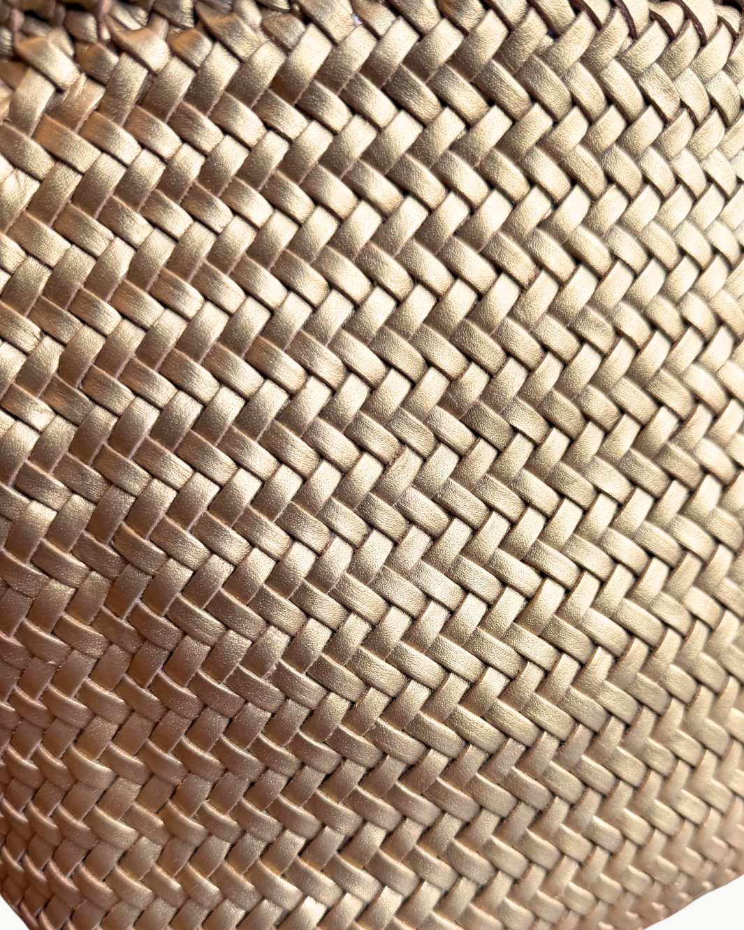 Dragon Diffusion GRACE BASKET SMALL IN GOLD at Romi Boutique