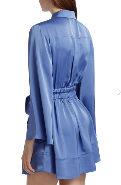 MARIANA BUTTON DOWN MINI DRESS IN CORNFLOWER - Romi Boutique