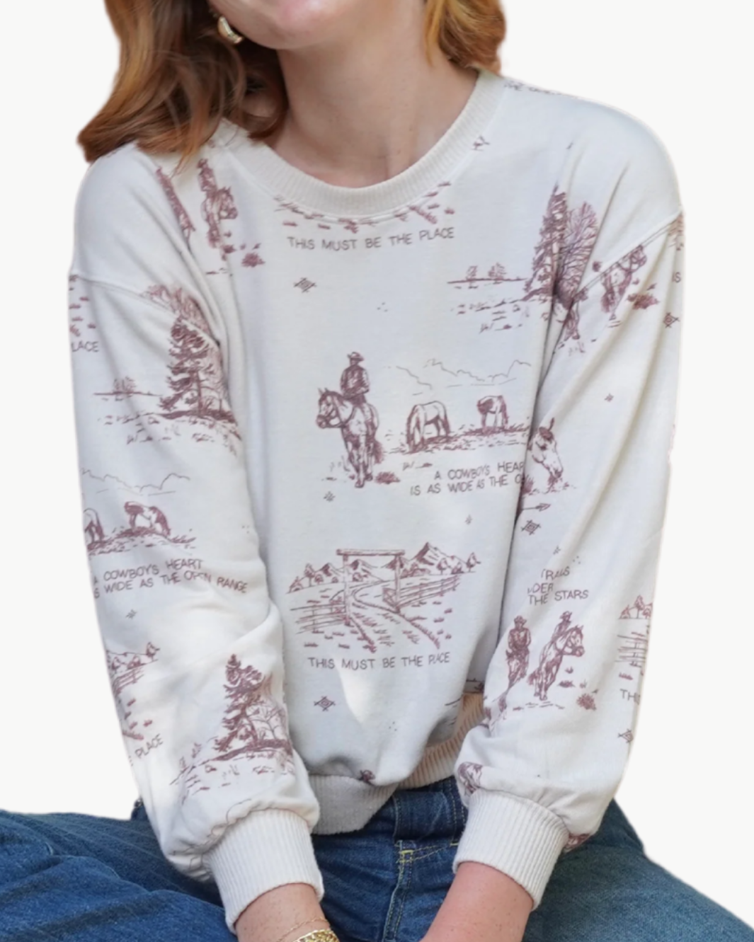 COZY TOP IN YELLOWSTONE