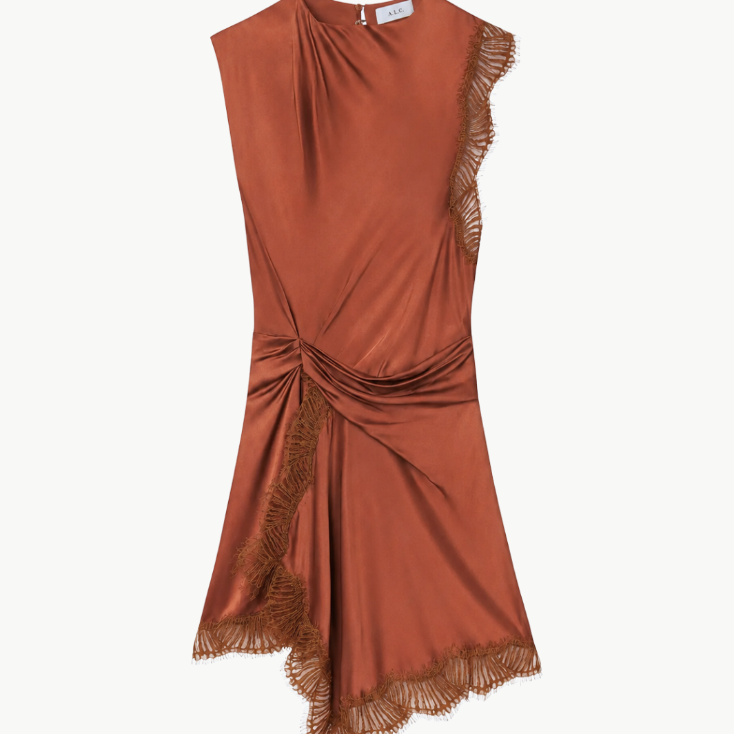 Dion Satin and Lace Mini Dress