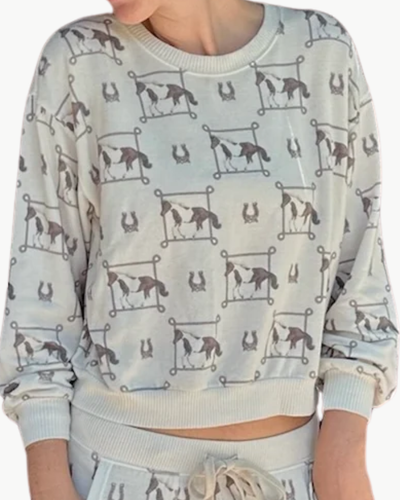 COZY TOP IN LASSO RODEO HORSE