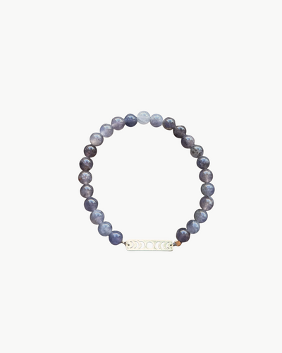 CHARM BRACELET IN PURPLE SMOKE