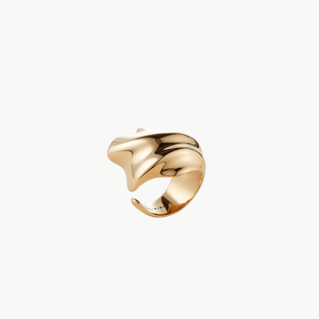 Jenny Bird LYDIA RING IN HIGH POLISH GOLD at Romi Boutique
