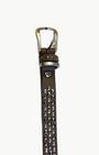 B. BELT ROANA BELT IN TAUPE at Romi Boutique