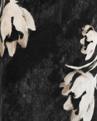 GO LONG FOR IT SKIRT IN TOSSED FLORAL - Romi Boutique