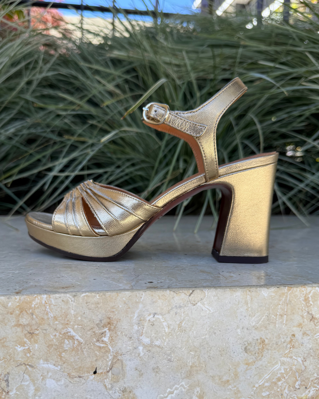 CHIE MIHARA KELOCA SANDAL IN CHAMPAGNE at Romi Boutique