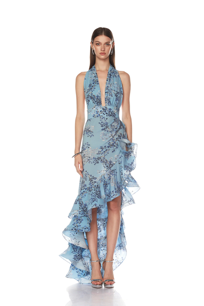 BRONTE BLUE POPPY MAXI DRESS IN BLUE MULTI
