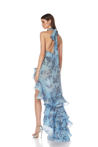 BRONTE BLUE POPPY MAXI DRESS IN BLUE MULTI