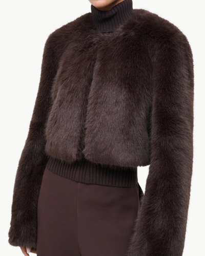 CASIMIRA JACKET IN EARTH