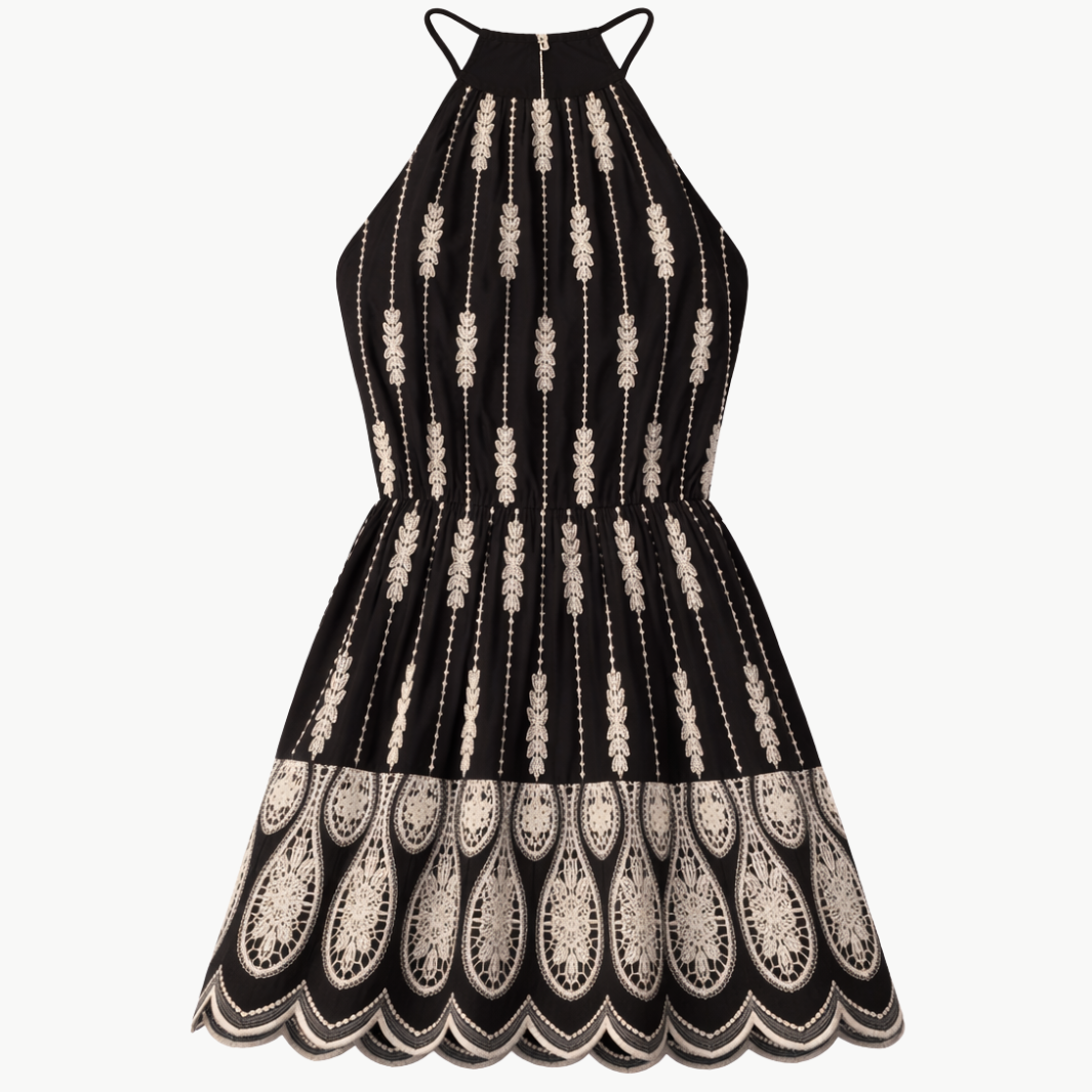 Ramy Brook Kaelyn Embroidered Mini Dress at Romi Boutique