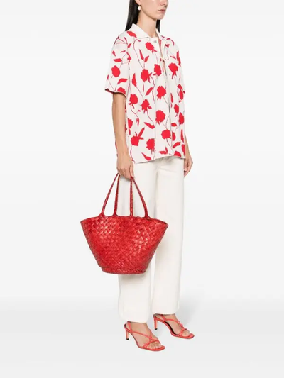 EGOLA IN RED