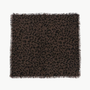 Mini Stevie Strass Western Scarf