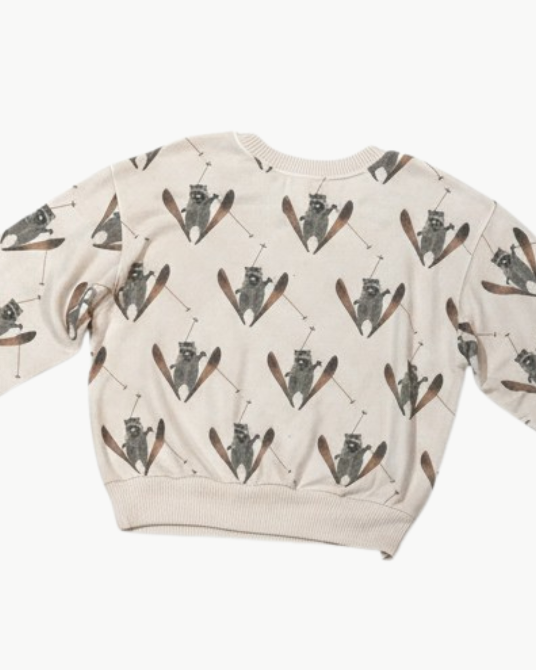 COZY TOP IN SKIING RACCOONS