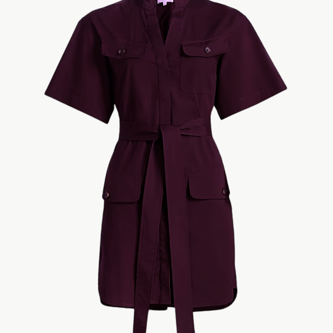 A.L.C Quinn Dress at Romi Boutique