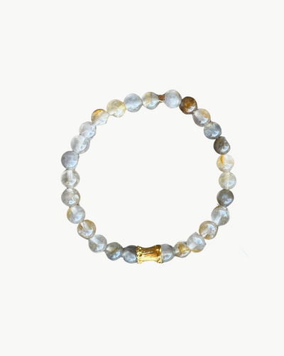 CHARM BRACELET IN CLEAR/TAUPE MULTI