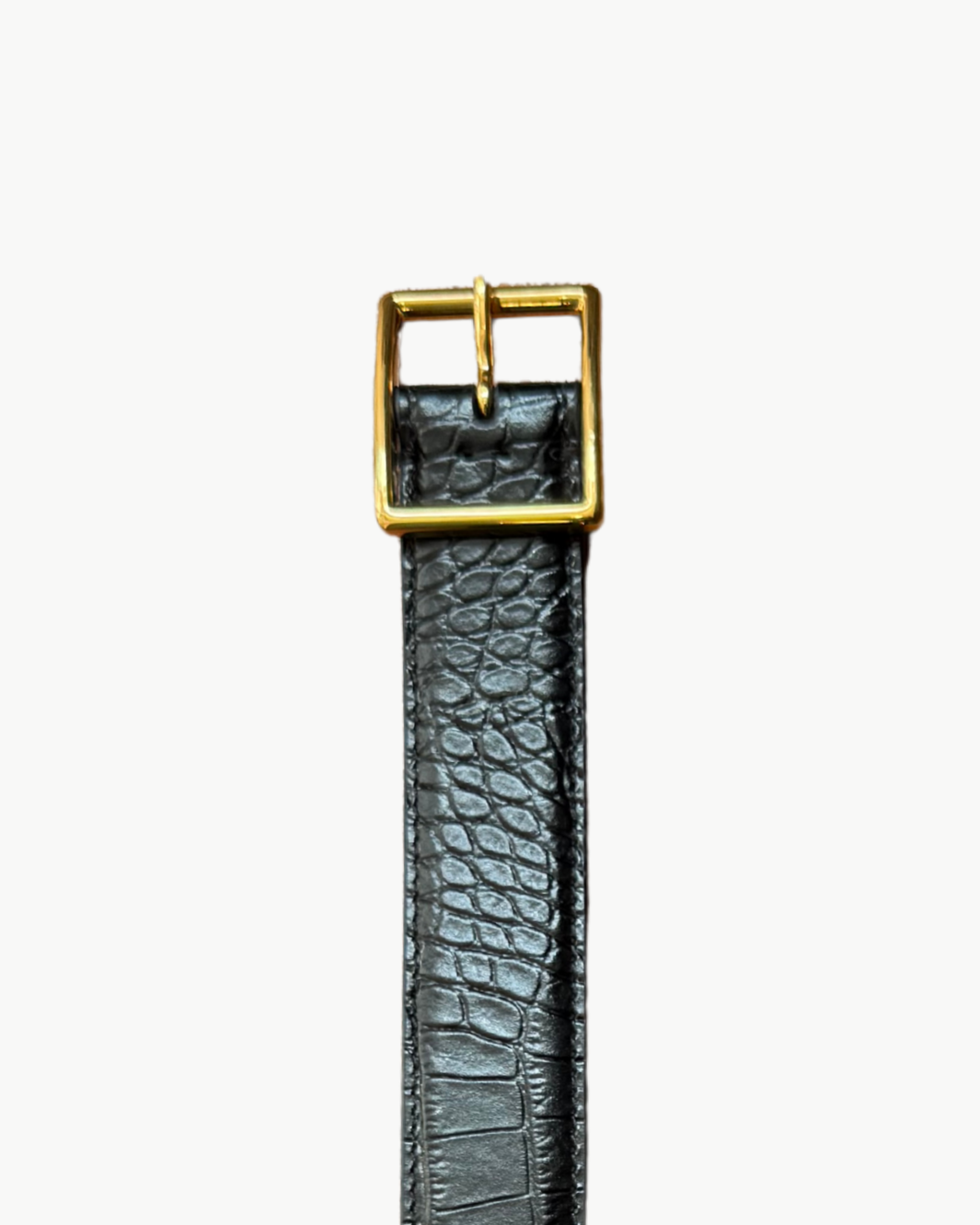 GABRIELE BELT IN BLACK CROC W/ ANTIQUE GOLD BUCKLE - Romi Boutique
