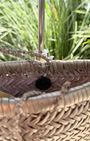 MINSU BAG IN PEWTER by Dragon Diffusion - Romi Boutique