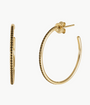 BLACK DIAMOND ESSENTIAL HOOP EARRING IN 14K YELLOW GOLD by EF Collection - Romi Boutique