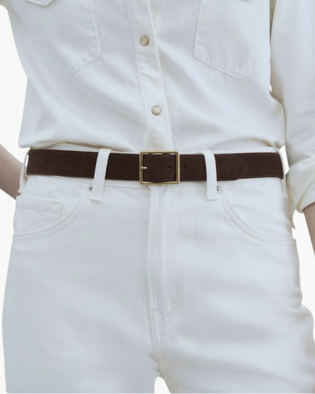 GABRIELE BELT IN ESPRESSO SUEDE WITH ANTIQUE GOLD BUCKLE - Romi Boutique
