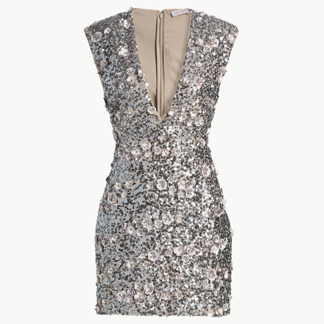 ROSETTE LACEY DRESS by Ramy Brook - Romi Boutique