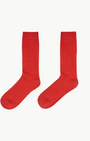 CASHMERE RIBBED SOCK IN CARMINE RED - Romi Boutique