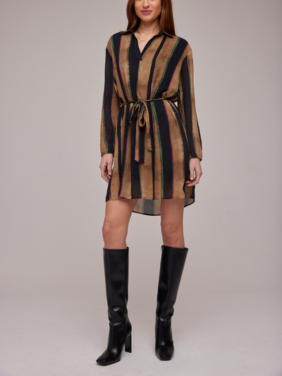 LONG SLEEVE TUNIC DRESS IN GOLDEN STRIPES - Romi Boutique